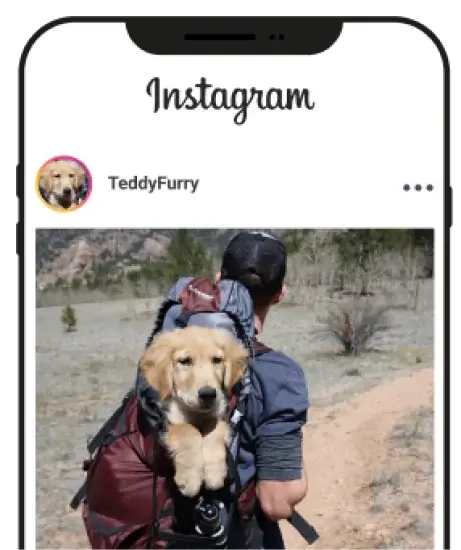 Mobile App Preview